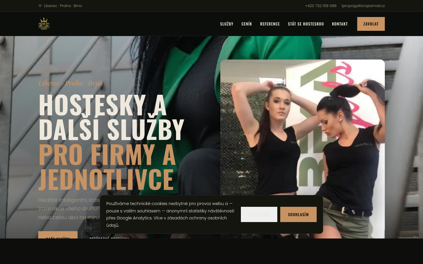 Náhled webu ihosteska.cz